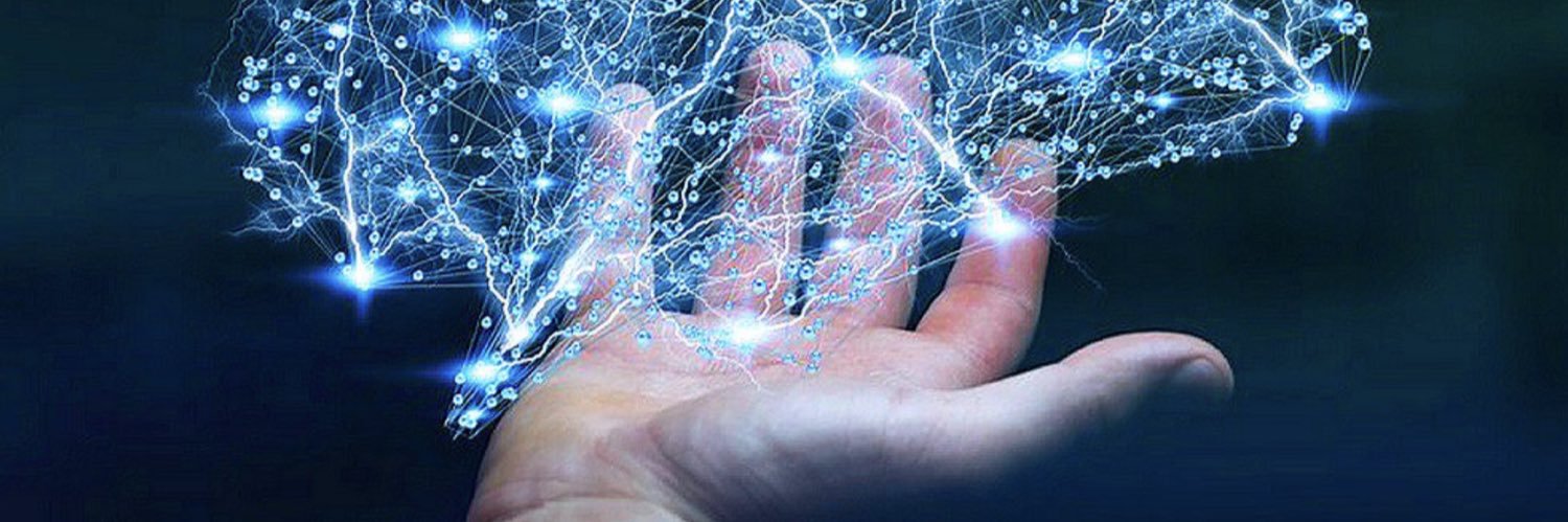 Madeline Bailey banner