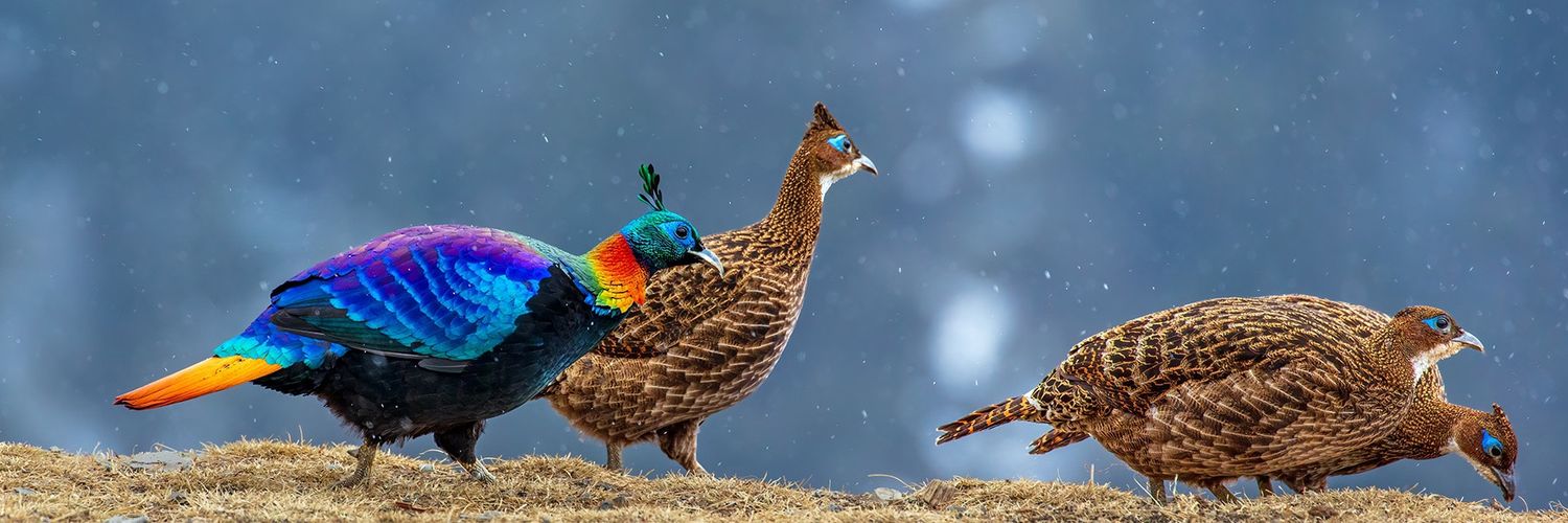 KFMBMN's profile banner image