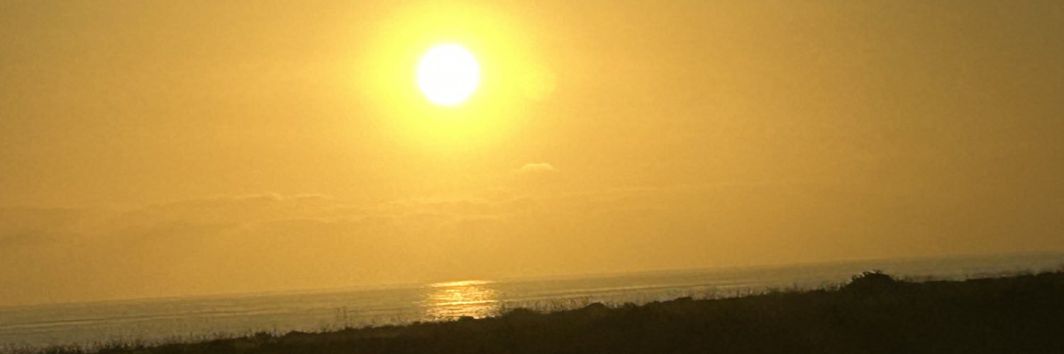 chipimariana's profile banner image
