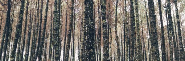 darwinations Profile Banner