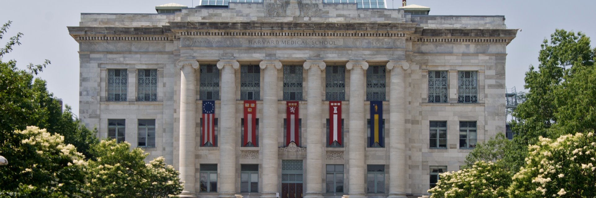 The Boston Area NORC banner