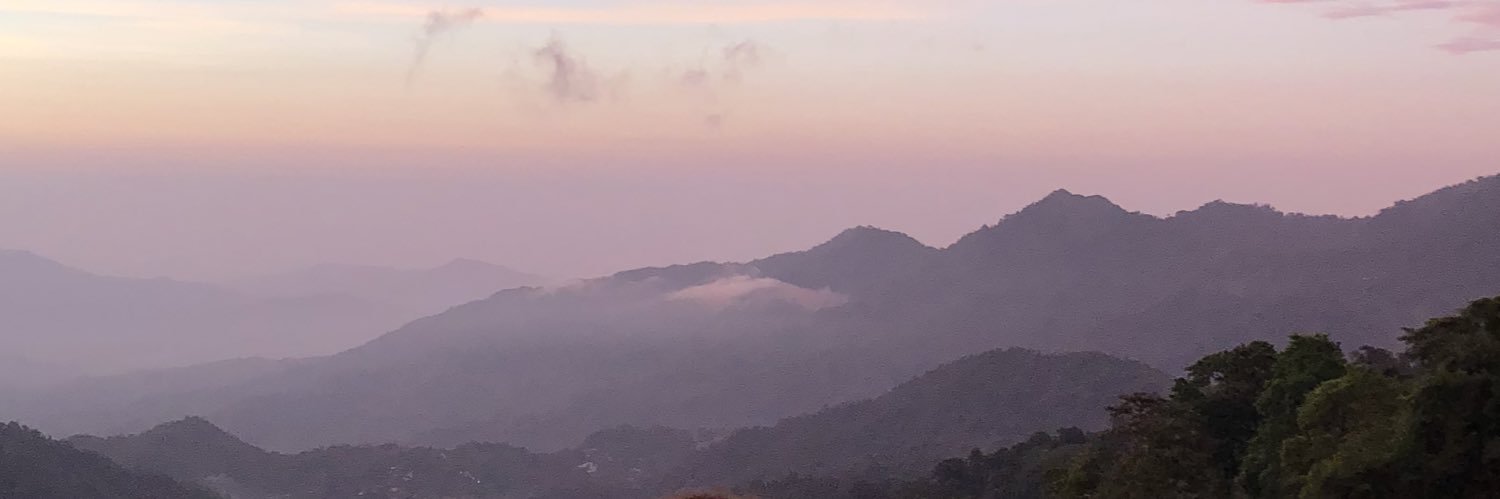 MG banner