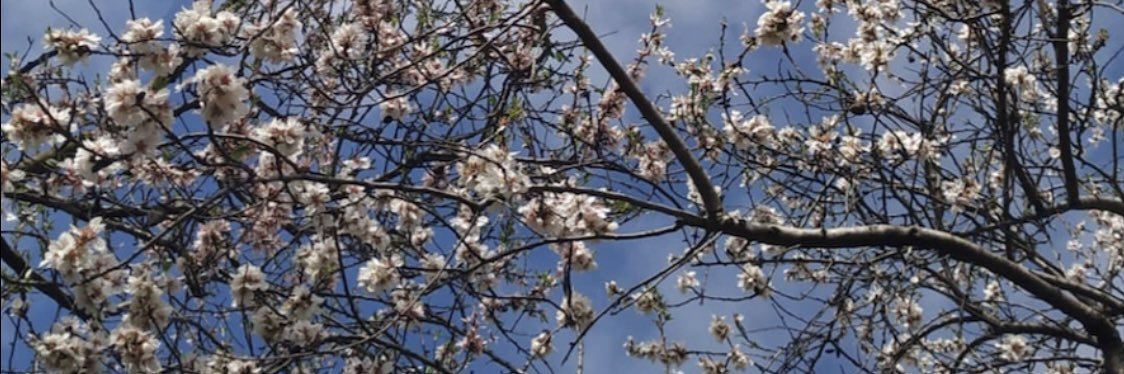 oricienta's profile banner image