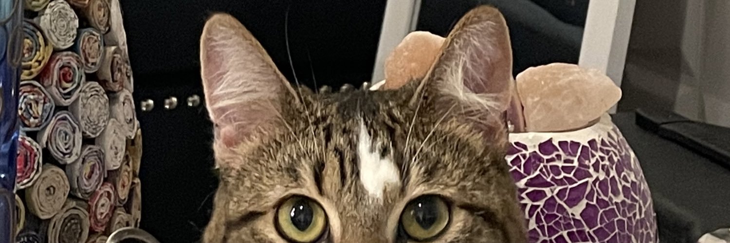 nonlocalai's profile banner image