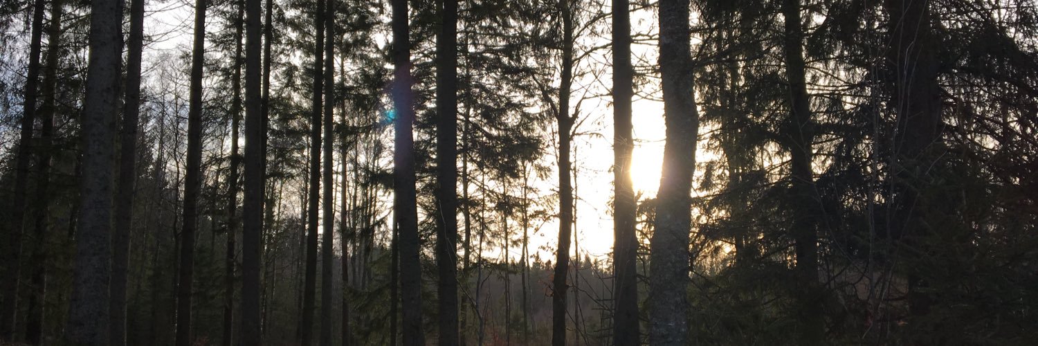 soehof94's profile banner image