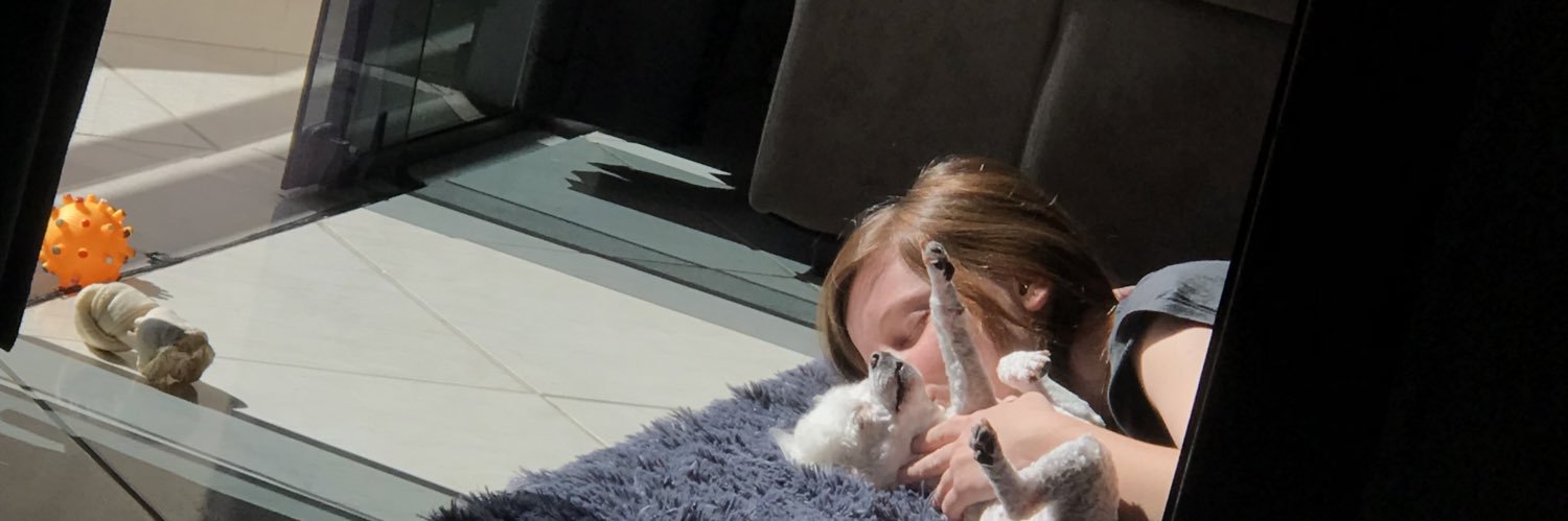 bemrqs's profile banner image