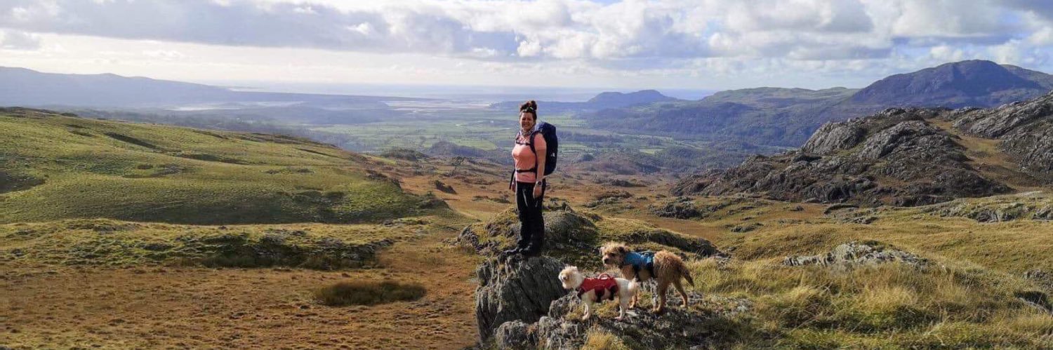 Lisa, The Beast & Billy banner