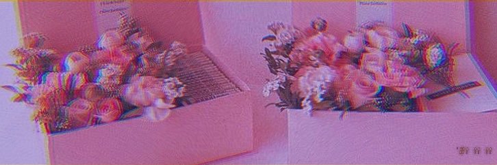 ladyennoire's profile banner image