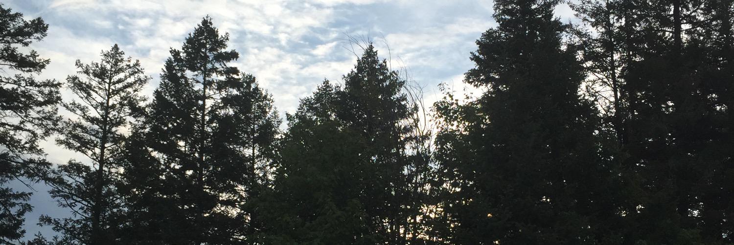 digitalredx's profile banner image