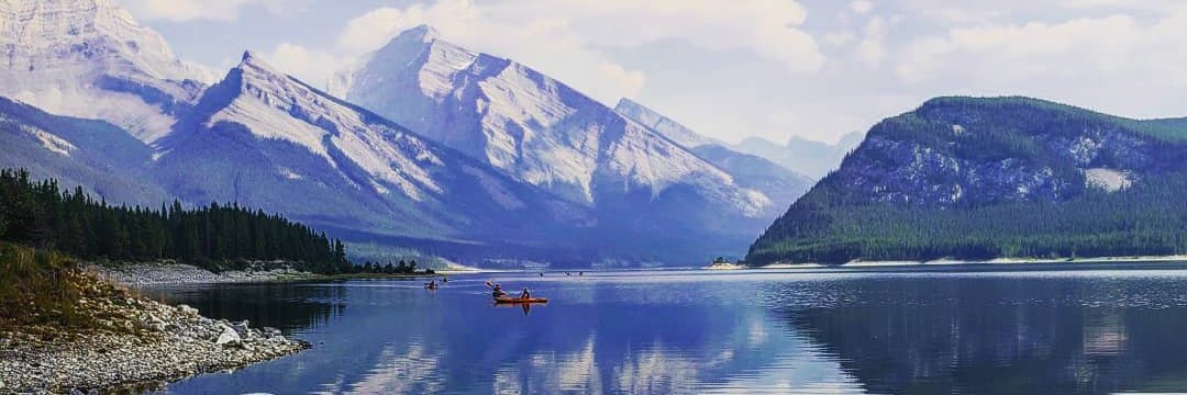 ReidJohnson11's profile banner image