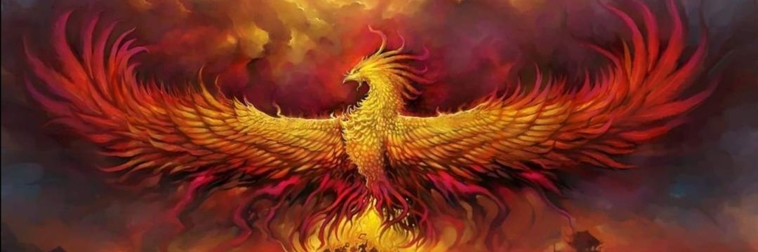 Rakesh Waghela banner