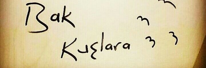 seraapiss's profile banner image