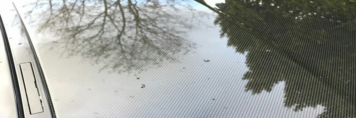 tomnokestweets's profile banner image