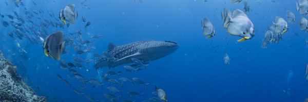 pssiam Profile Banner