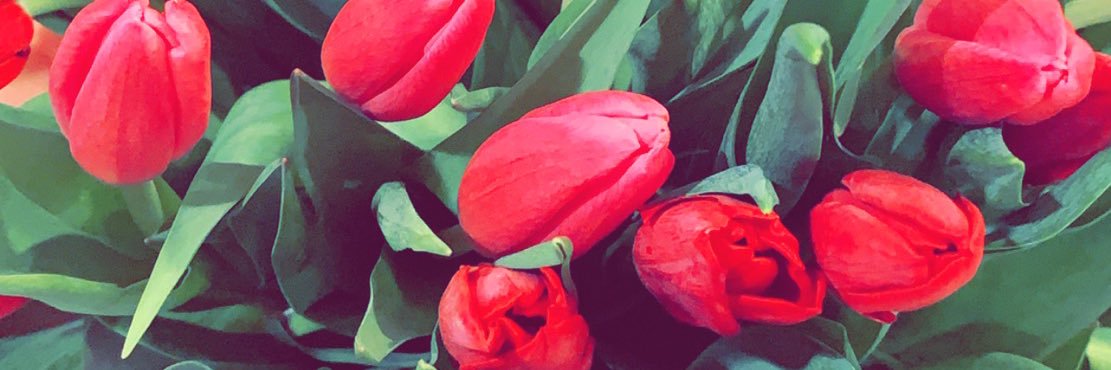 _cray_LA's profile banner image