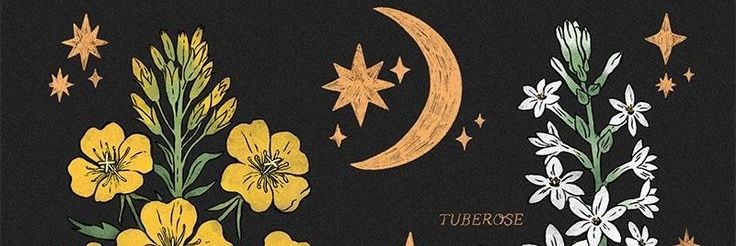 DaniRBarron's profile banner image