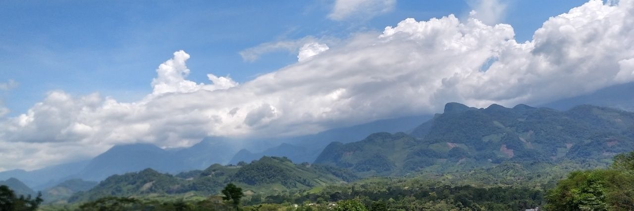 rosallinou's profile banner image