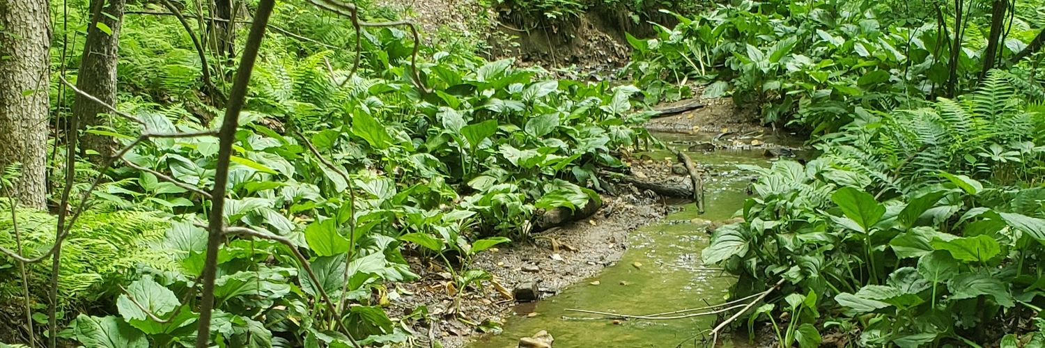 🏳️‍🌈 Jon Arndt, MBA, LAT, ATC banner