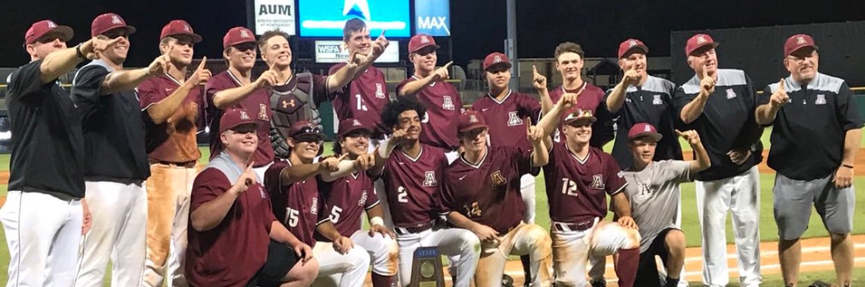 Andalusia High School Baseball banner