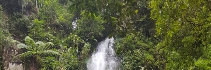 طارق الزهراني banner