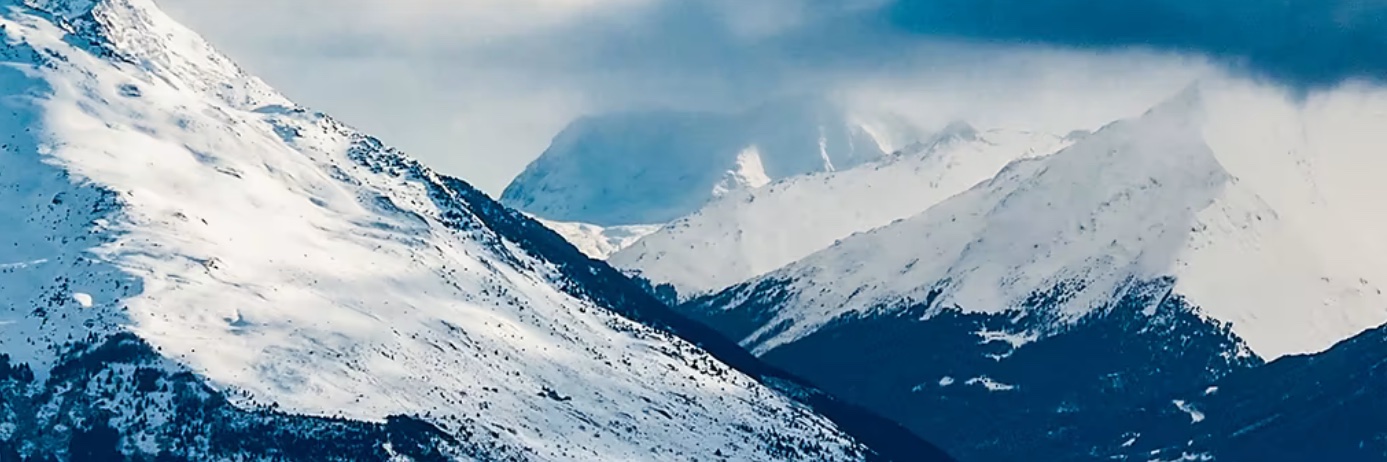 Adam_Golub's profile banner image