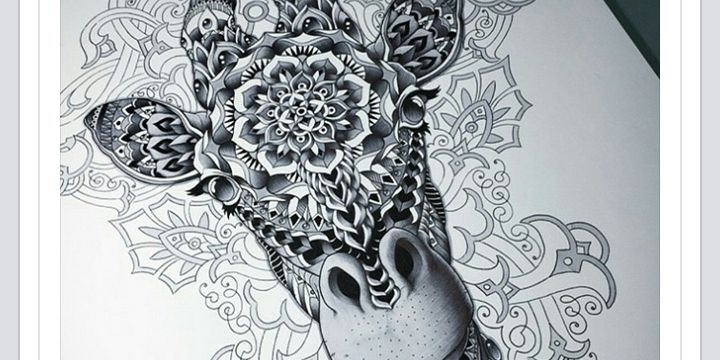 Cahtravisani's profile banner image