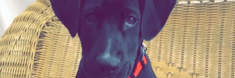 BChouinard22's profile banner image