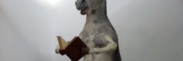 Don_Keyo's profile banner image