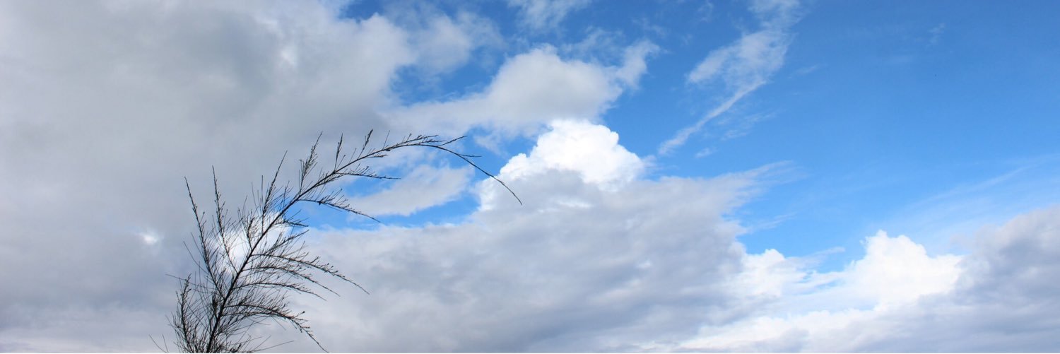 tatarweir's profile banner image