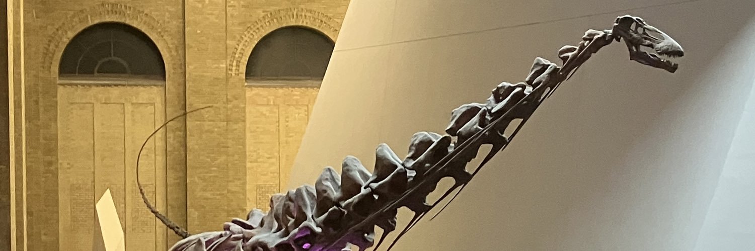 Maximilian Mataija 🇨🇦 banner