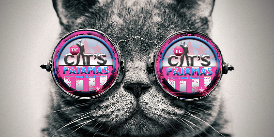 vocalmeow's profile banner image