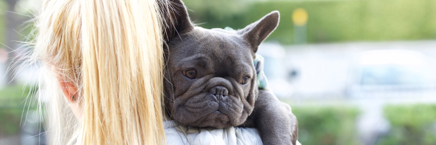 Michelle Spolver banner