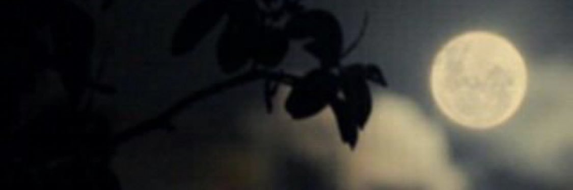omarr_2012's profile banner image