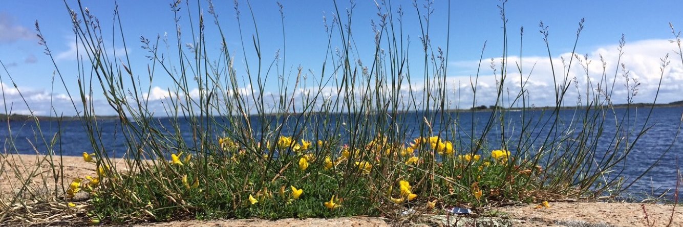 Lin Beate Gabrielsen banner