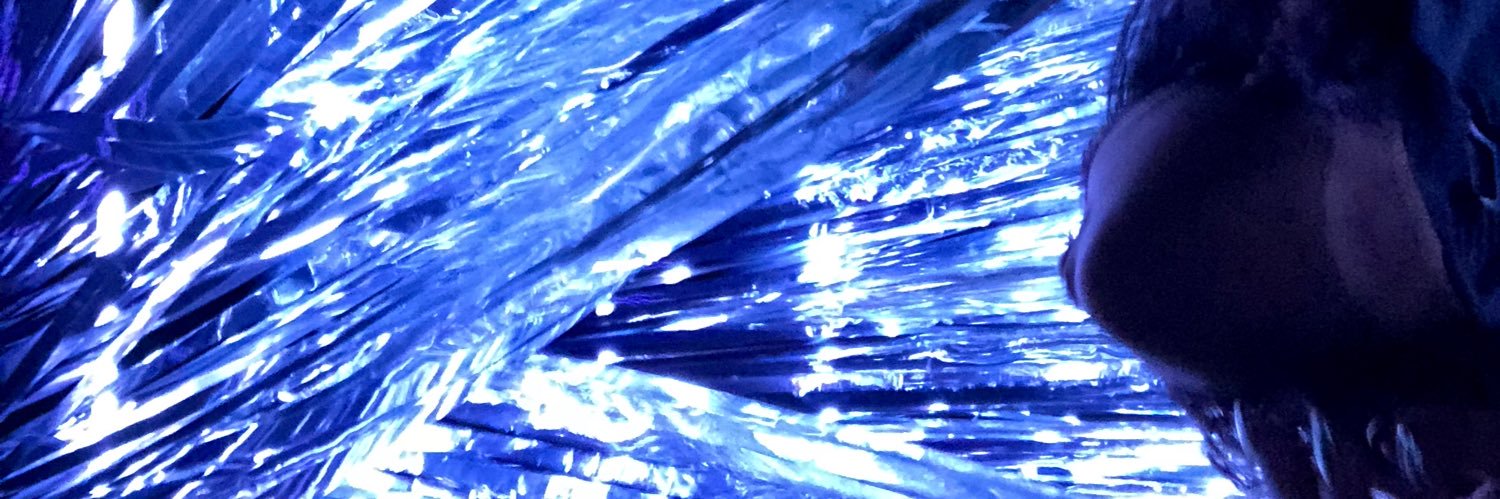 allisonnnbebe's profile banner image