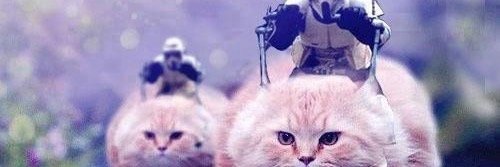 AmyakaHELLCAT's profile banner image