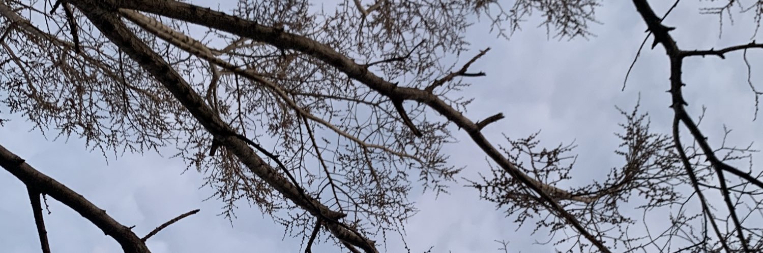 🍿🥤o_____o🥤🍿 banner