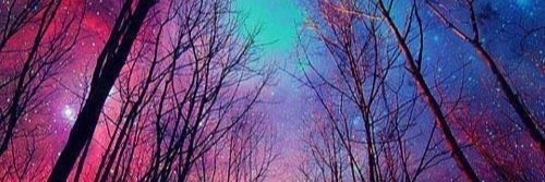 Zy banner