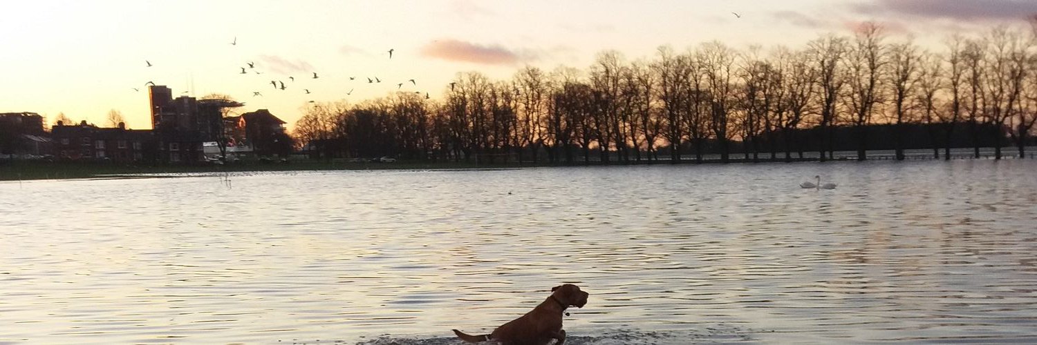 Grace_Armer's profile banner image
