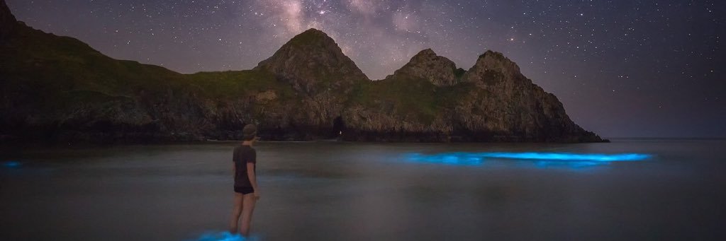 adzthomas's profile banner image