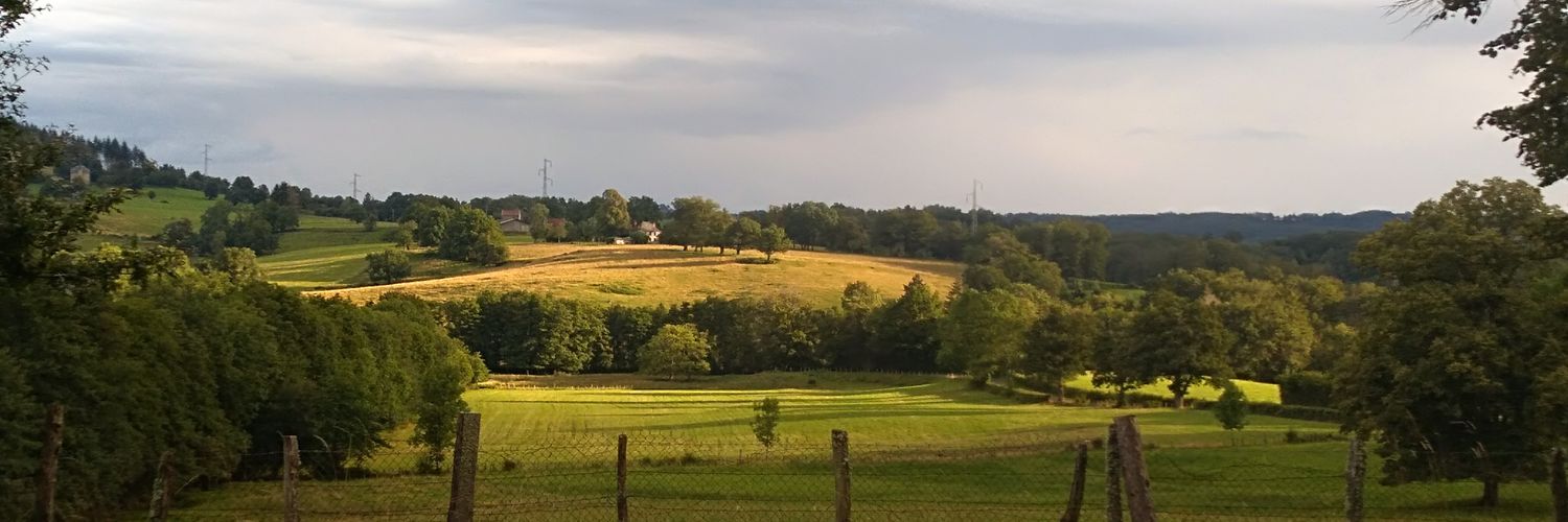 Mathias Bienstman banner