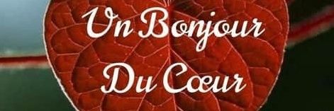 Momoezz banner