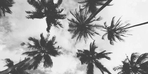 FranceskaKrence's profile banner image