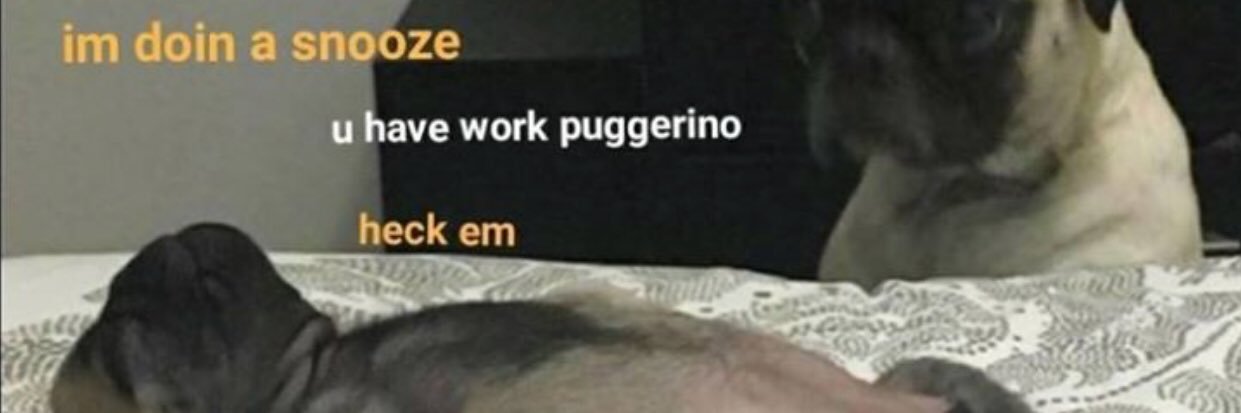 MUDflappp's profile banner image