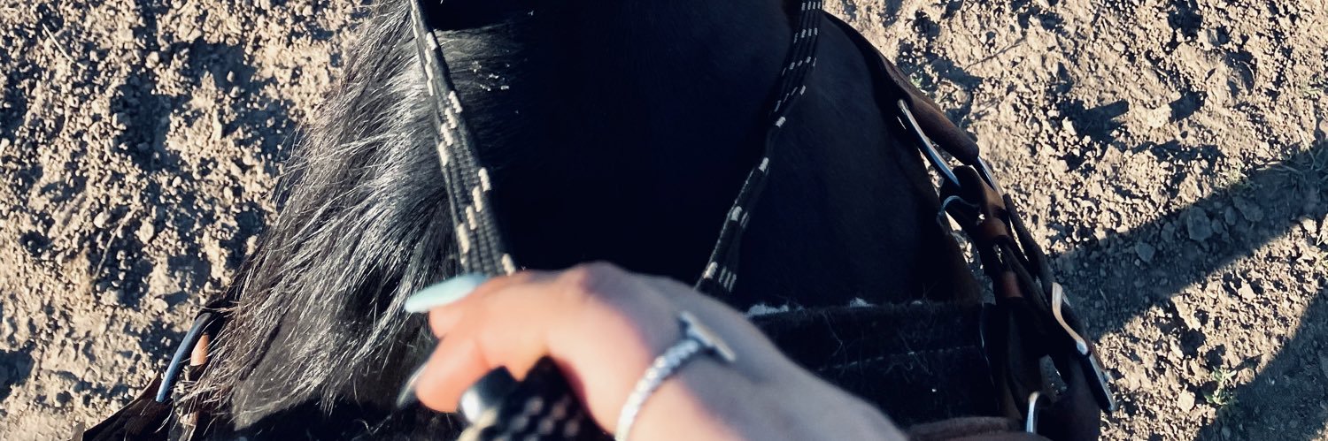 malaina_cat's profile banner image