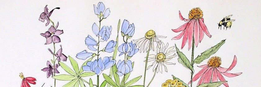Ahampton84's profile banner image