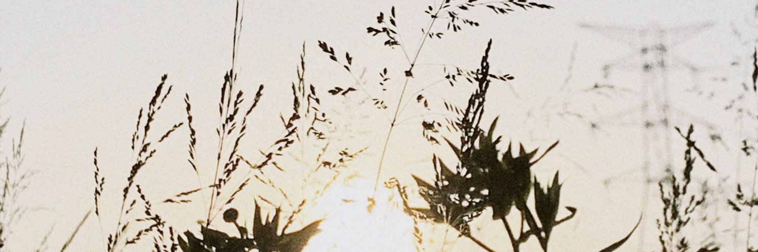 mio___o0's profile banner image