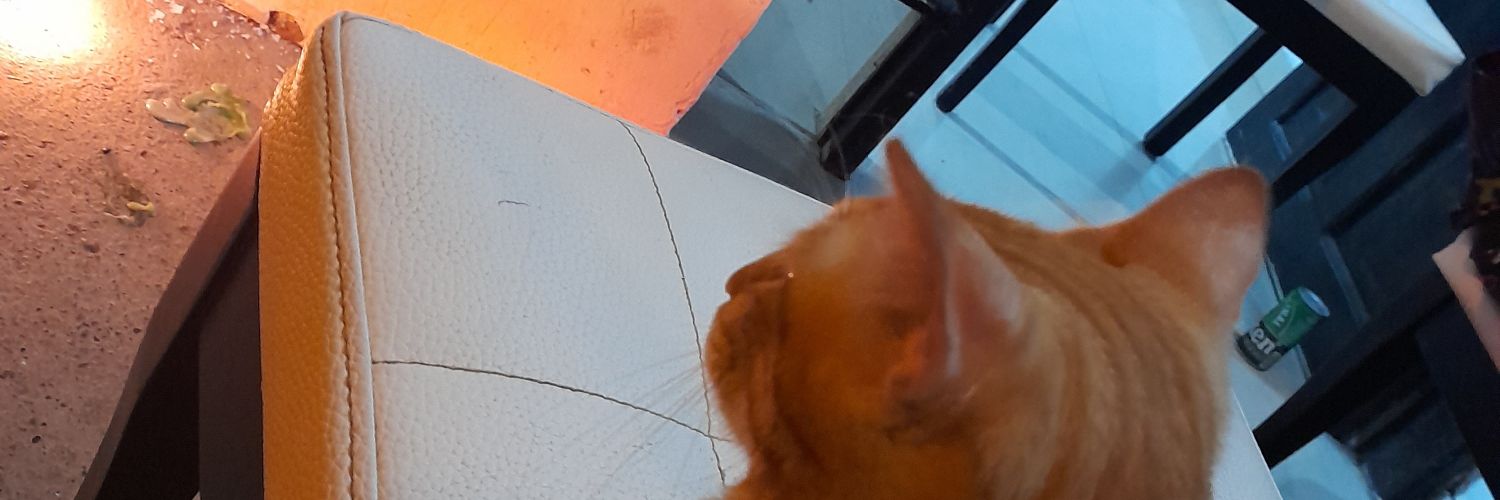 Lizette_pad's profile banner image