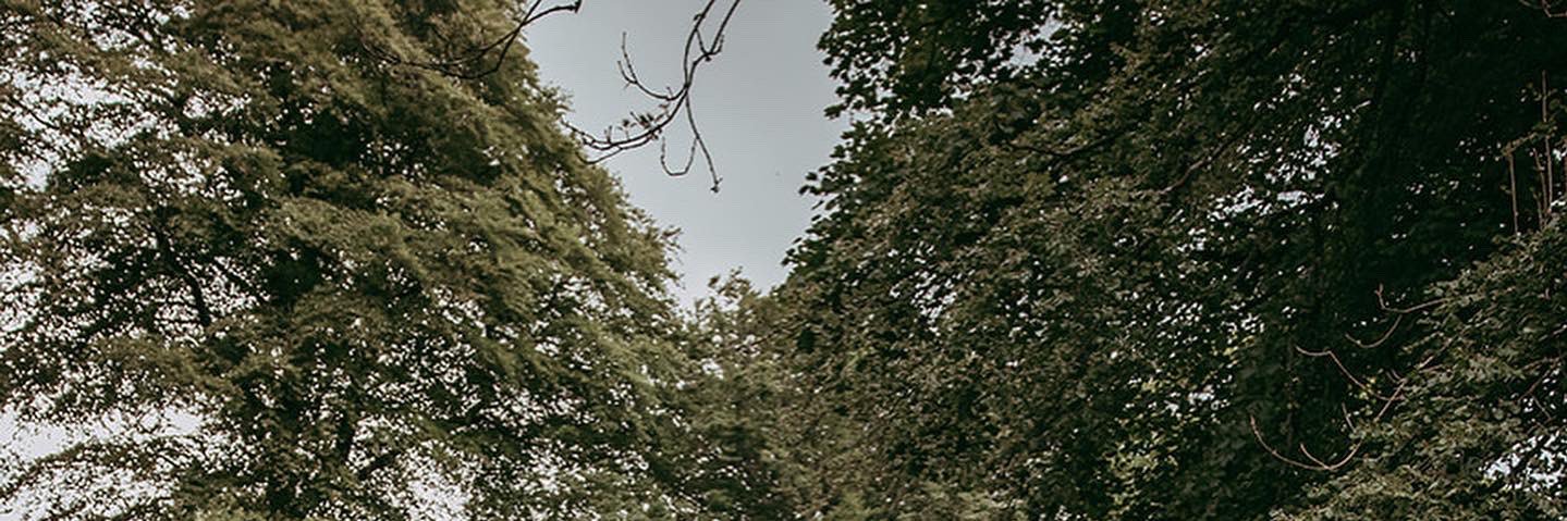 FionaDaly2's profile banner image