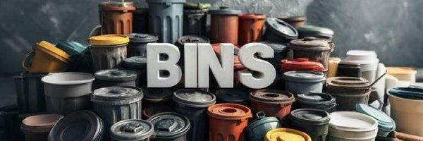 binlyns Profile Banner